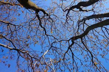 Սպասվող եղանակի մասին