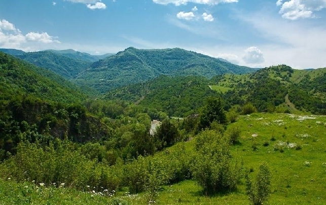 Մթնաձորում հիմա կանաչ պատարագ է…