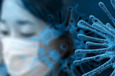 Պանամայում կորոնավիրուսի նոր ենթատեսակ են հայտնաբերել