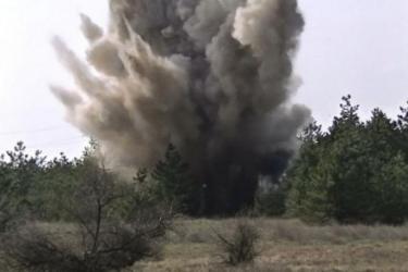 Արտակարգ դեպք Արարատի մարզում. դաշտում կանաչի հավաքող աղջիկն անզգուշությամբ կանգնել է ականի վրա ու պայթել