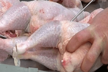 ԵՄ-ն արգելել է Ռուսաստանից թռչնամսի ներկրումը