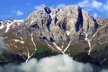 ԽՈՒՍՏՈՒՓԻ ՃԻՉԸ