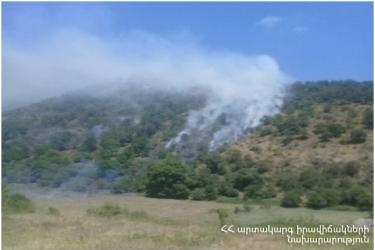 Կապան-Շիշկերտ ավտոճանապարհին այրվել է մոտ 7 հա բուսածածկույթ 