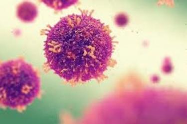 Հայաստանում կորոնավիրուսի հաստատված դեպքերը՝ ըստ Երևանի և մարզերի. Ալինա Նիկողոսյան